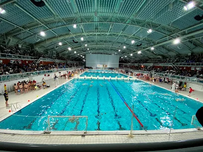 Nationaal Zwemcentrum de Tongelreep photo
