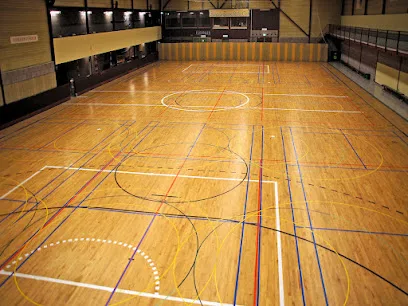 Sporthal de Struijck, Omni Vereniging Theresia, photo