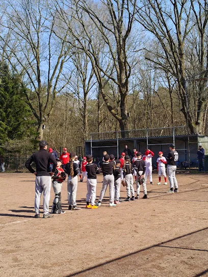 Honk- en Softbalvereniging PSV photo