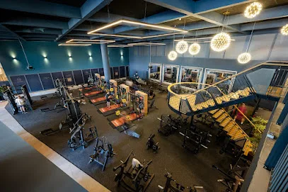 David Lloyd Amsterdam photo
