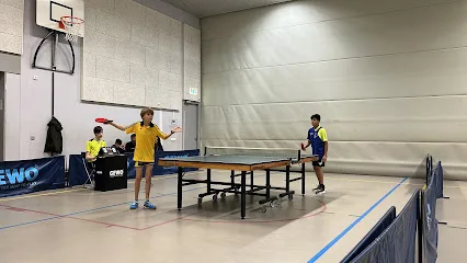 Tafeltennisvereniging Diemen photo