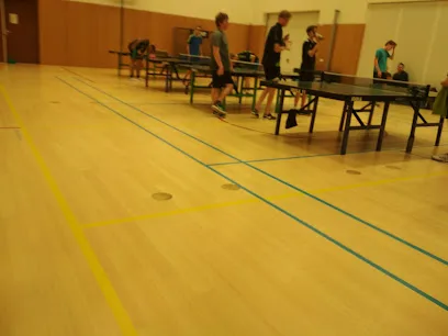 Tafeltennis Hoogland photo