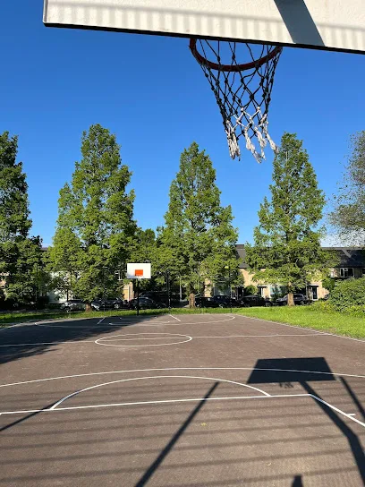 Basketbalveld Badhoevedorp photo