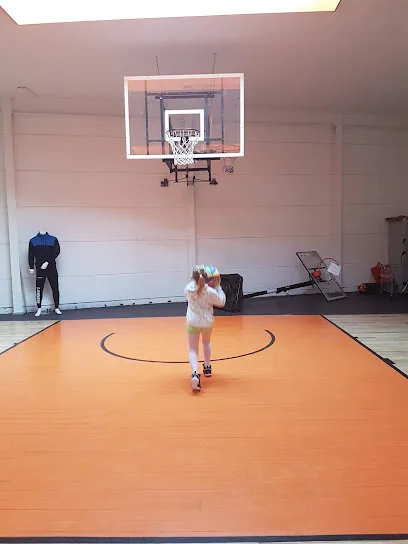Basketball Totaal photo