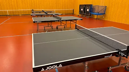 JOOLA Pickleball en Tafeltennis Nederland en België photo
