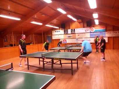 Tafeltennisvereniging Dordrecht photo