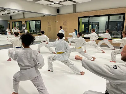 Delftse Studenten Budo Vereniging 'Yoroshi' photo
