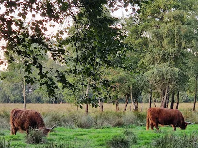 Het Libellebos photo