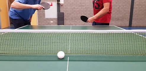 TTV Topspin photo
