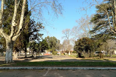 Club Social photo
