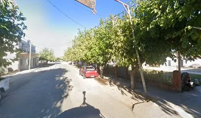 Padel "Los Olivos" photo