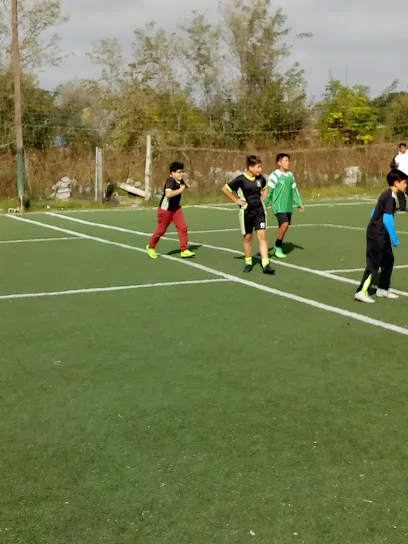 COMPLEJO DEPORTIVO CANCHAS AFA photo