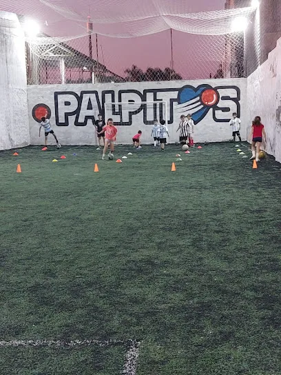 Jota futbol 5 photo
