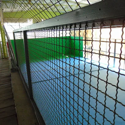 La Mora padel photo