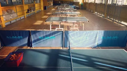 Ateneo Ping Pong | Clases de Tenis de Mesa photo