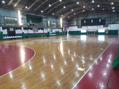Club Vilo photo
