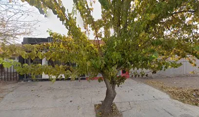 Garden Padel photo