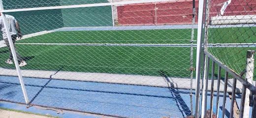Iguana Paddel photo