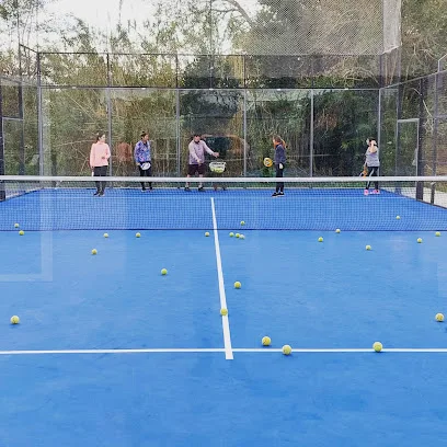 MS PADEL photo
