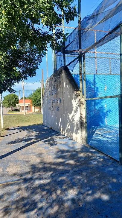 Peludos padel photo