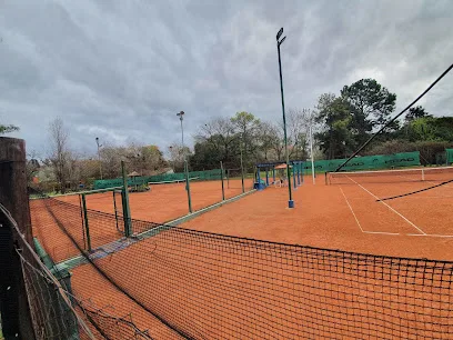 Tenis Champion Pilar photo