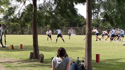 Campus El Irlandés (Campo de Deportes del Marin) photo