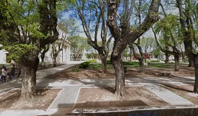 liga sampedrina de padel photo