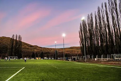 Cancha De Cesped Sintetico photo