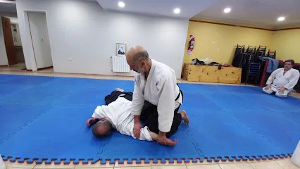 Aikido - Hikari Dojo - Asociación Patagónica de Aikido photo