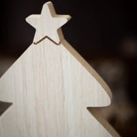 ARBOL HORIZONTAL – foto 2