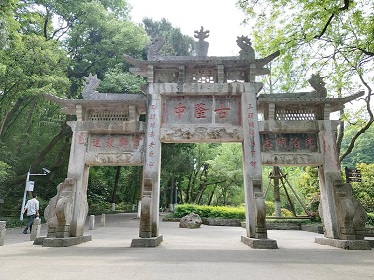이미지