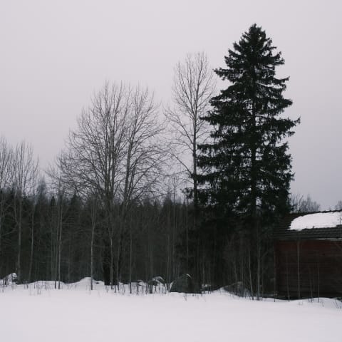 Nokia, Finland