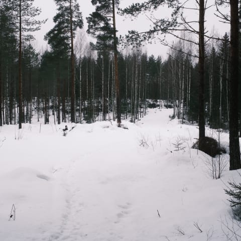 Nokia, Finland