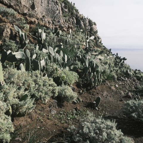 Tenerife, Spain