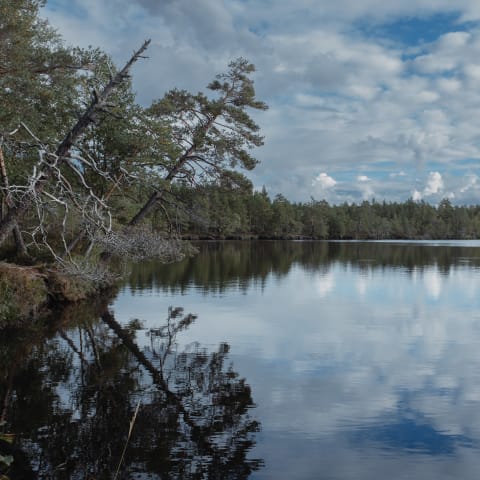 Kurjenrahka National Park, Finland