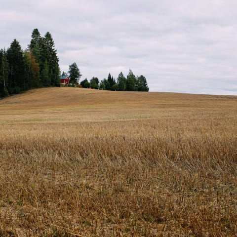 Heinistö, Finland