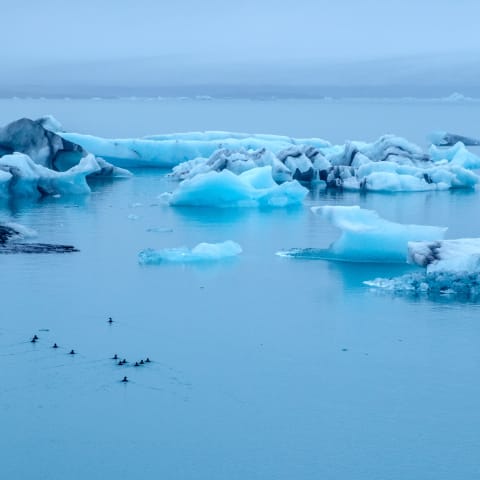 Jökulsárlón glacier lagoon