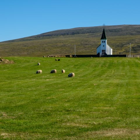 First days in Iceland