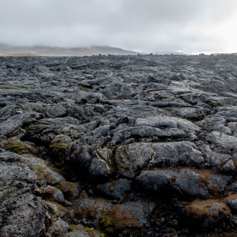 Lava fields in Iceland