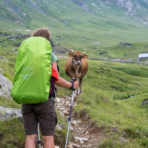 Peaks of the Balkans trail