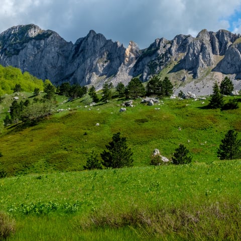 Sutjeska National Park, Bosnia and Herzegovina