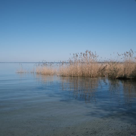 Müritzsee