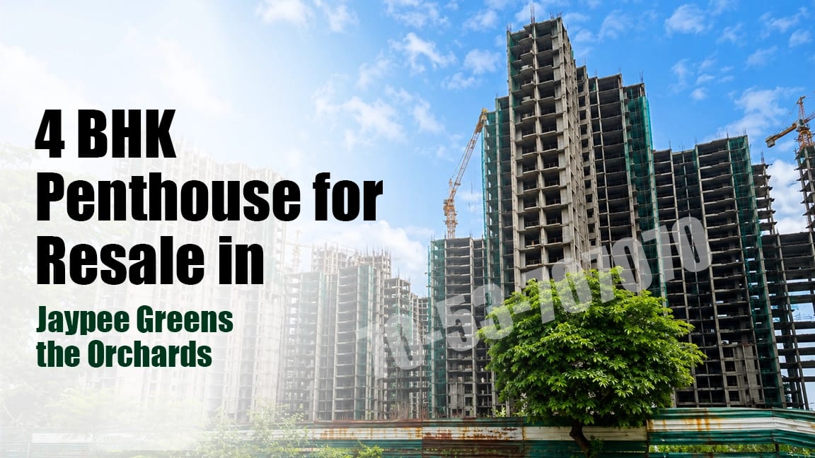4 BHK Penthouse for Resale in Jaypee Greens the Orchards