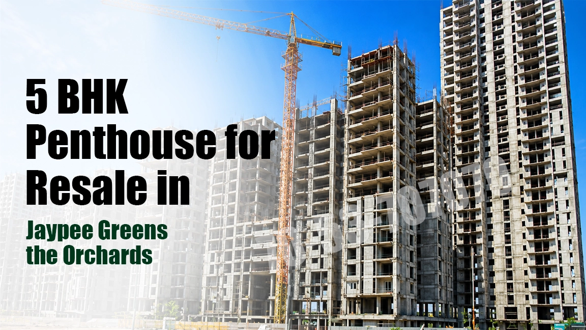 5 BHK Penthouse for Resale in Jaypee Greens the Orchards