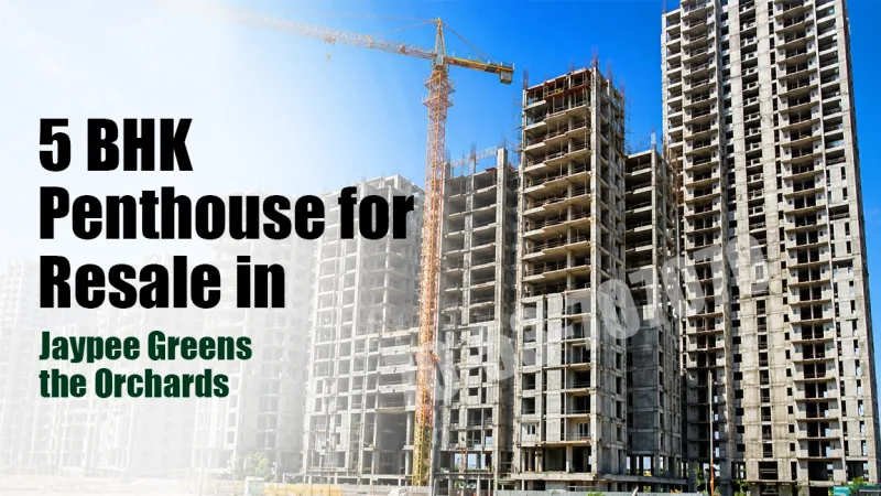 5 BHK Penthouse for Resale in Jaypee Greens the Orchards