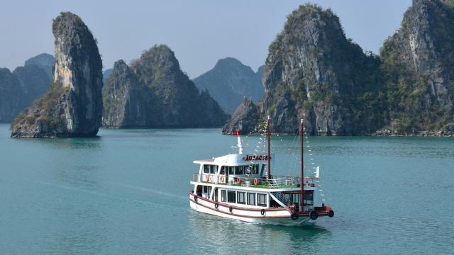 Thuyền tham quan ban ngày giữa các đảo đá vôi vịnh Hạ Long