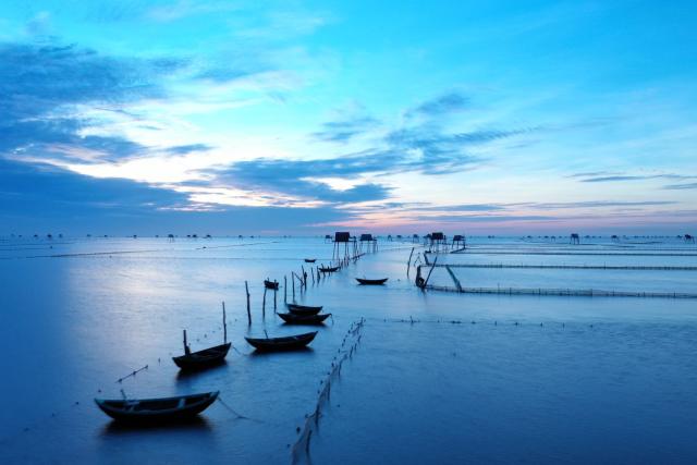 Thuyền nhỏ buổi sớm trên mặt nước
