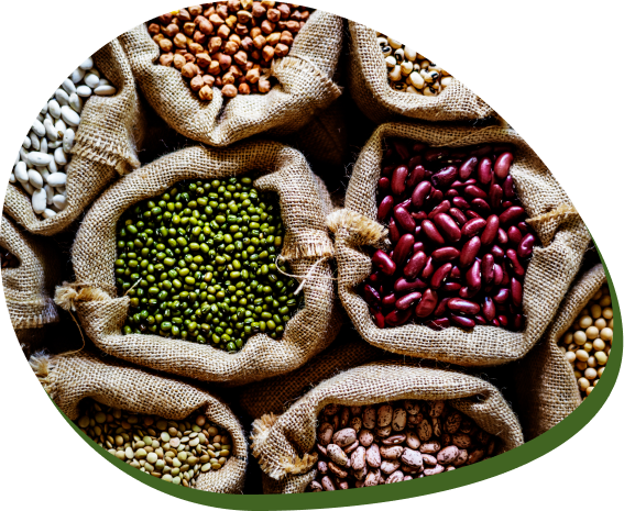 Creating Delightful Culinary