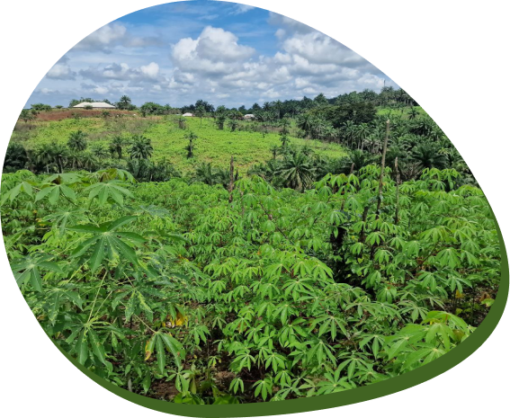 Promoting Sustainable Agriculture