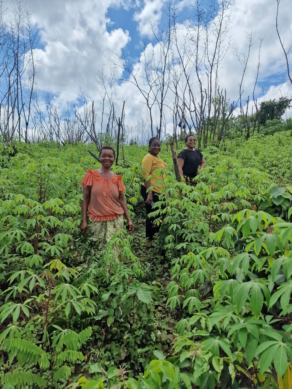 Transforming Lives Through Agriculture with Destorah Services